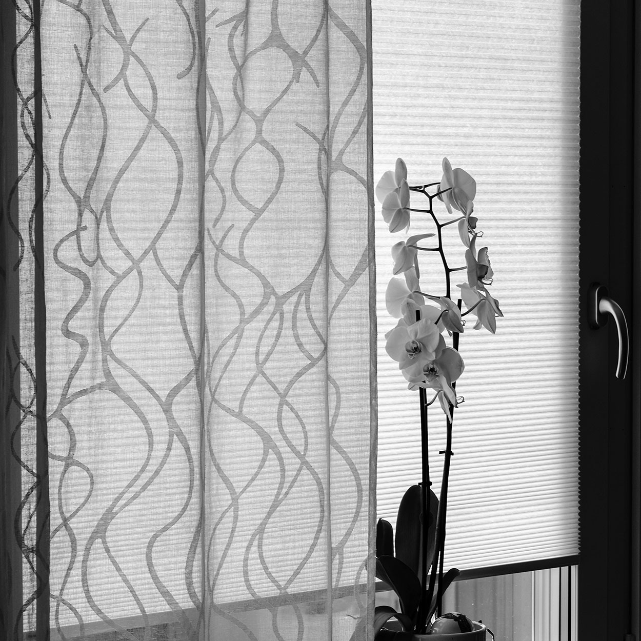 Cam balkon raylı plise perde uygulaması